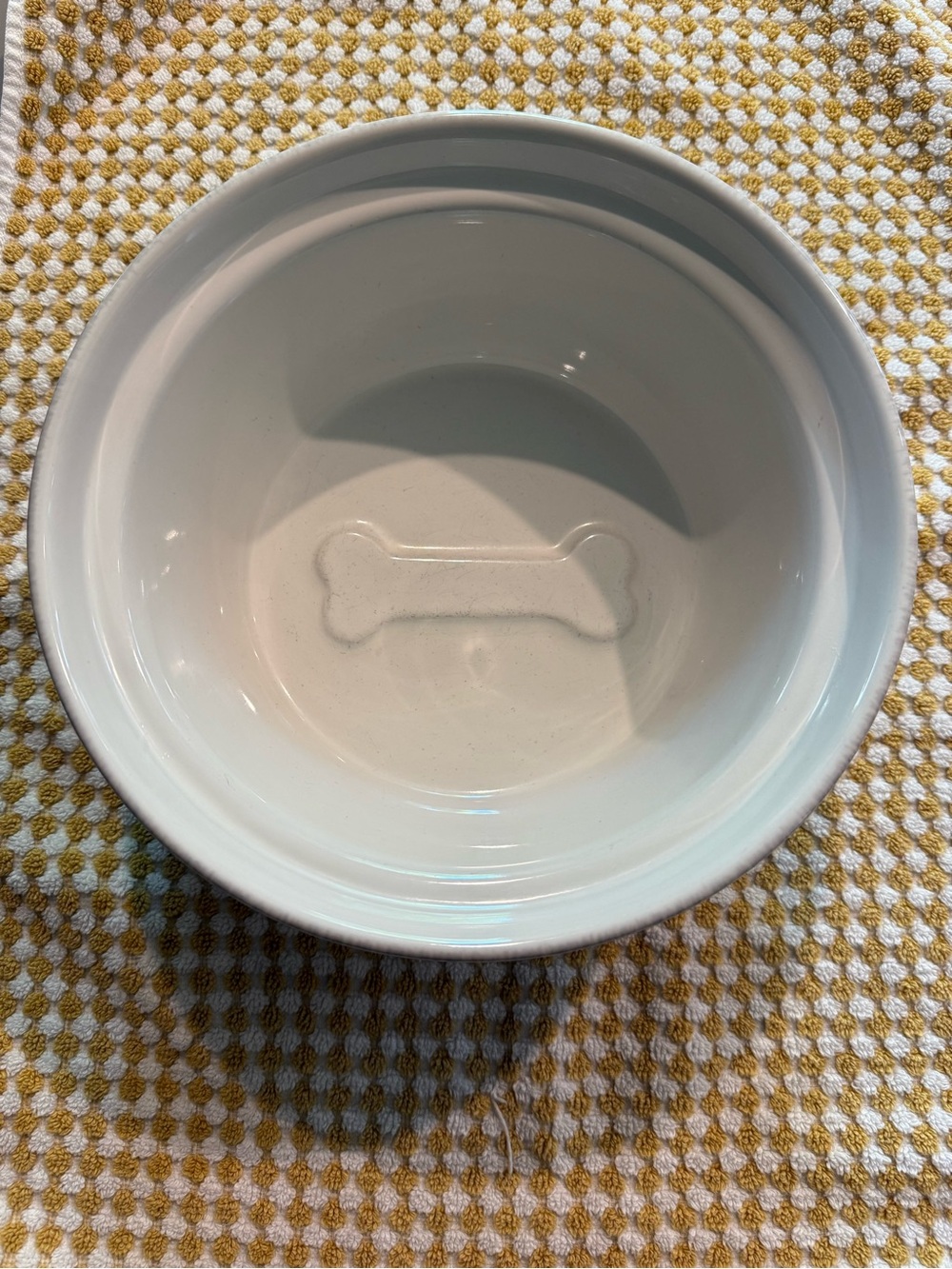 Pottery Barn Ceramic Dog Bowl with Bone Detail - White